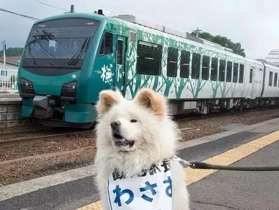 视觉志|“83岁奶奶和13岁女孩的故事。”｜百家故事