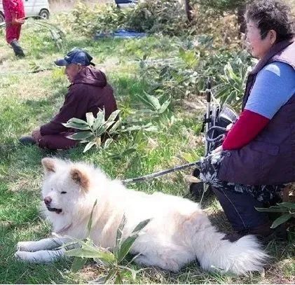 视觉志|“83岁奶奶和13岁女孩的故事。”｜百家故事