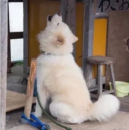 视觉志|“83岁奶奶和13岁女孩的故事。”｜百家故事