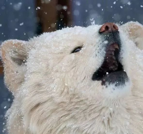 视觉志|“83岁奶奶和13岁女孩的故事。”｜百家故事
