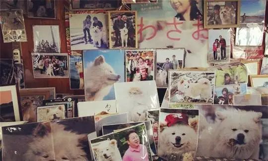 视觉志|“83岁奶奶和13岁女孩的故事。”｜百家故事