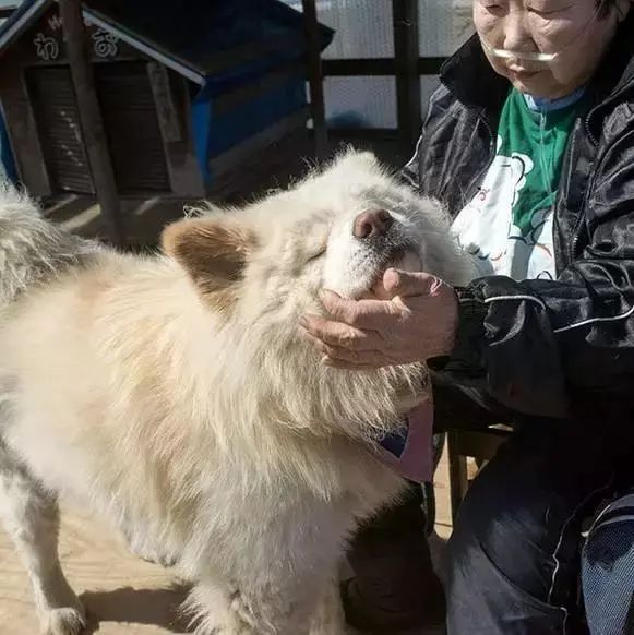 视觉志|“83岁奶奶和13岁女孩的故事。”｜百家故事