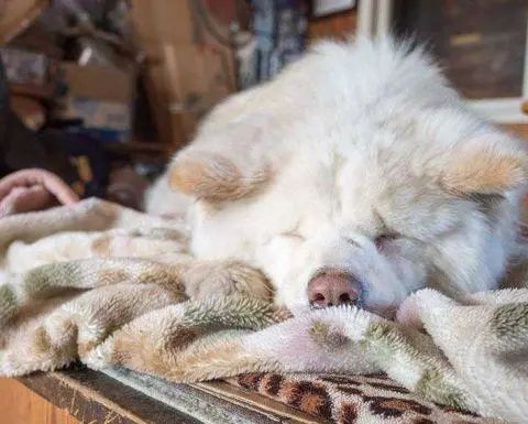 视觉志|“83岁奶奶和13岁女孩的故事。”｜百家故事