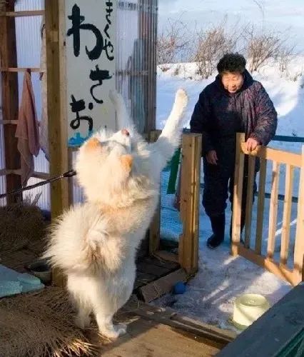 视觉志|“83岁奶奶和13岁女孩的故事。”｜百家故事