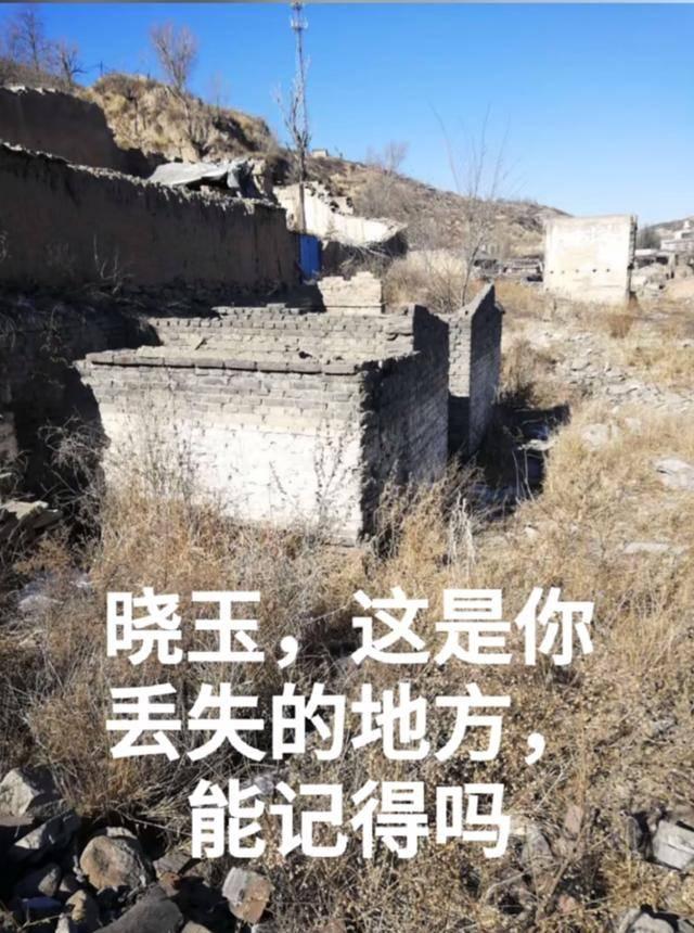 杨丽华|“直播寻亲”背后的悲与喜：别人家的奇迹，能在自己身上发生吗？