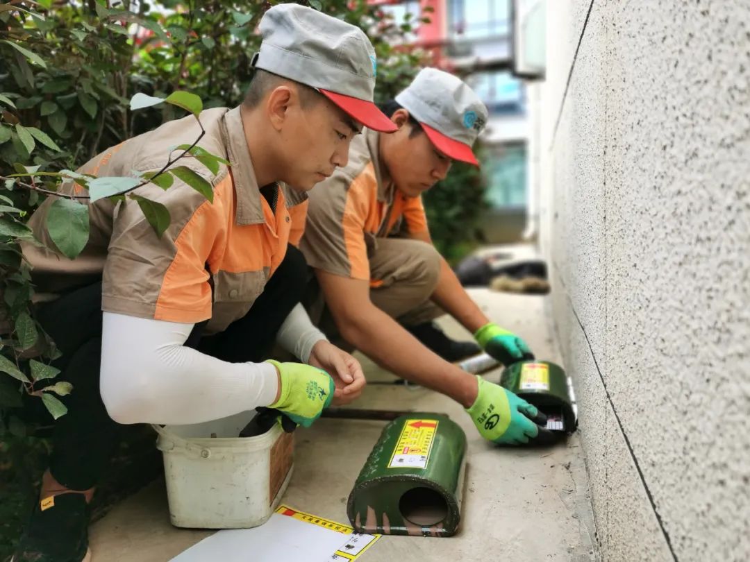 我市新增设置1000个灭鼠毒饵站
