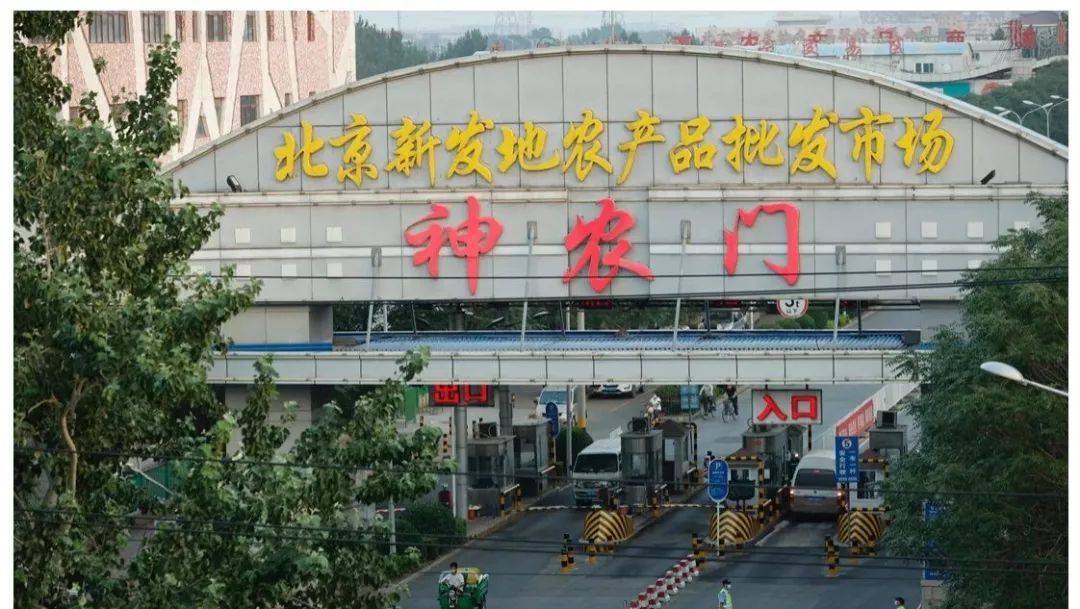 蔬菜|北京确诊人数破百，想跟你聊聊「新发地市场」｜百家故事