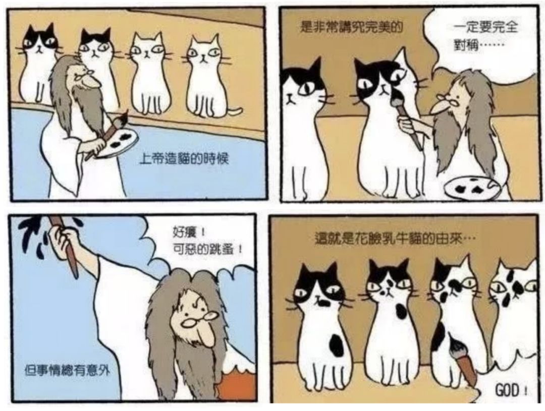 奶牛|又一个靠脸上热搜的，35万人点赞，评论区却笑疯了｜百家故事