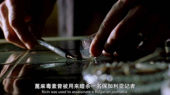 蓖麻|农村随处可见的蓖麻，被当做生化武器，这是怎么回事