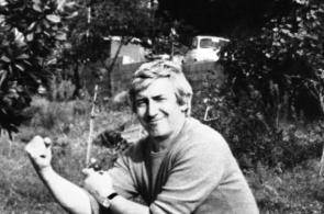 蓖麻|农村随处可见的蓖麻，被当做生化武器，这是怎么回事