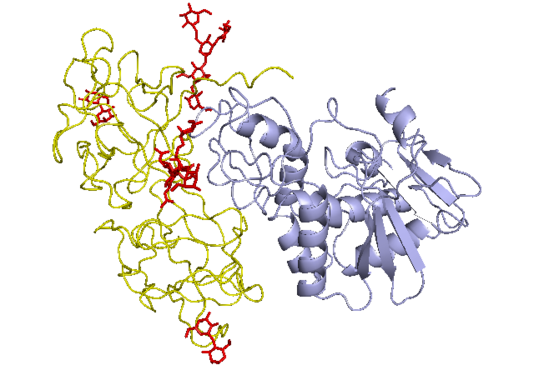 蓖麻|农村随处可见的蓖麻，被当做生化武器，这是怎么回事