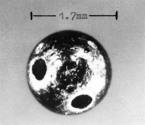 蓖麻|农村随处可见的蓖麻，被当做生化武器，这是怎么回事