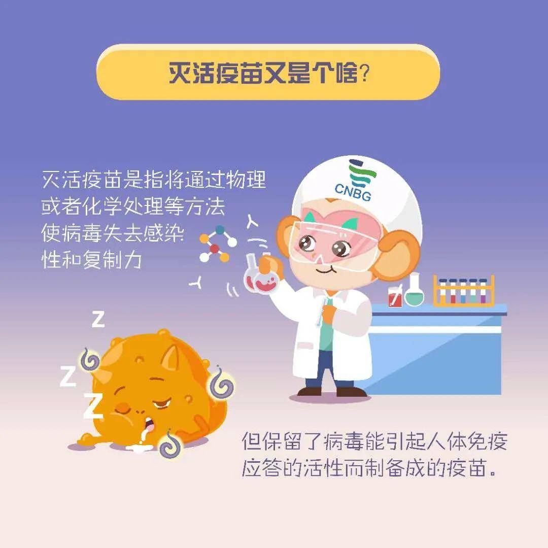 灭活疫苗|全球首个新冠灭活疫苗1/2期临床研究揭盲,代表疫苗研制成功吗?