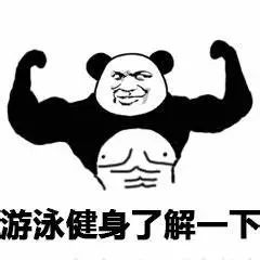 视觉志|开始健身第一天，我笑死在评论区。｜百家故事