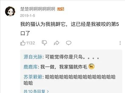 视觉志|开始健身第一天，我笑死在评论区。｜百家故事