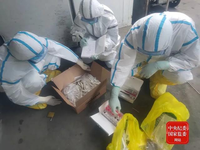 河北新发地|一种在欧洲流行的老病毒，究竟是如何被带到新发地的？