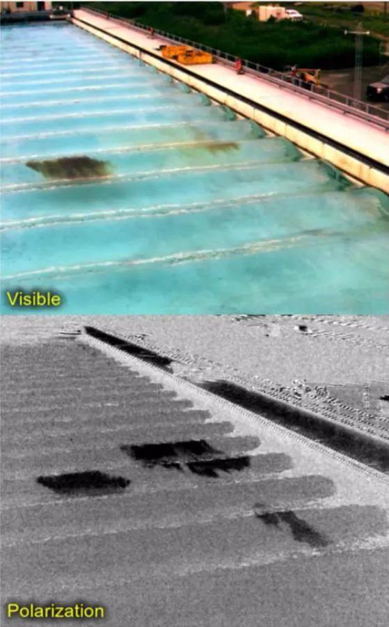 光的偏振|彩虹色的大海你见过吗?