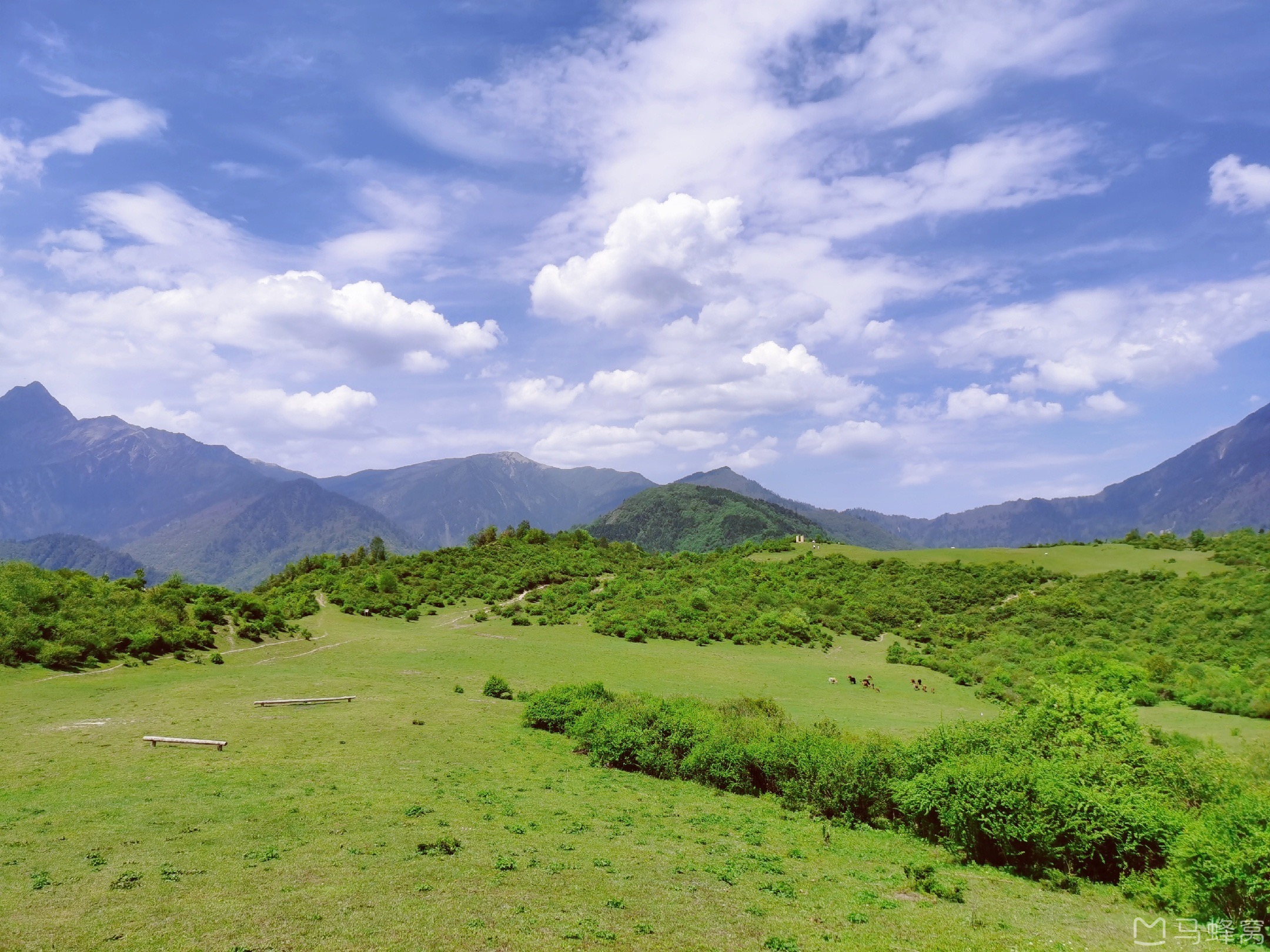 阿坝有个远离城市的草坪夏日风景优美很适合拍摄清新仙女照噢