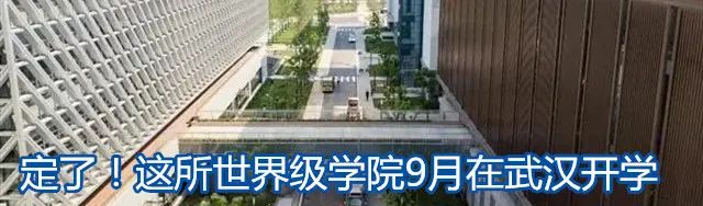 特朗普|特朗普政府多名高官辞职！