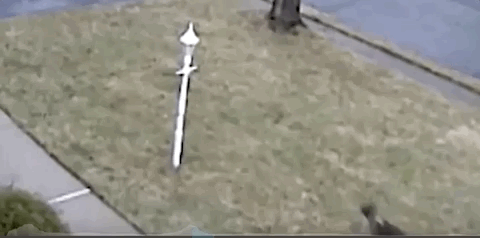 视觉志|监控拍下私人画面流出，千万小心你的秘密……｜百家故事