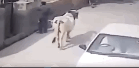 视觉志|监控拍下私人画面流出，千万小心你的秘密……｜百家故事