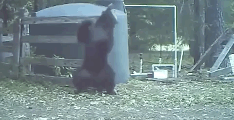 视觉志|监控拍下私人画面流出，千万小心你的秘密……｜百家故事