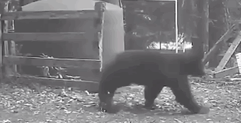 视觉志|监控拍下私人画面流出，千万小心你的秘密……｜百家故事