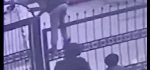 视觉志|监控拍下私人画面流出，千万小心你的秘密……｜百家故事