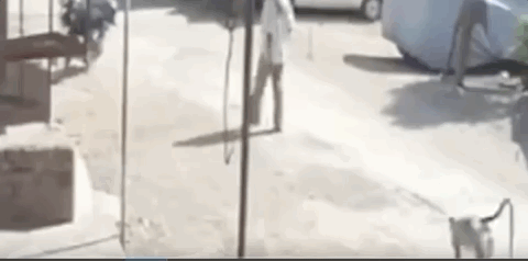 视觉志|监控拍下私人画面流出，千万小心你的秘密……｜百家故事