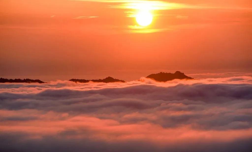 夏至|倏尔夏至，夜长梦真