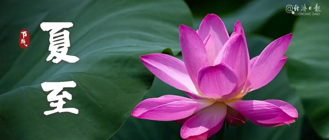 夏至|倏尔夏至，夜长梦真