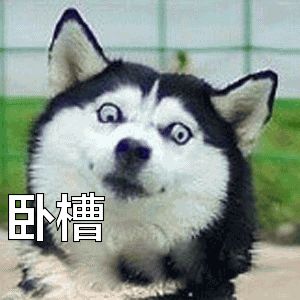 日环食|今天出门别忘了带个漏勺，因为十年一遇的金边日环食它来了