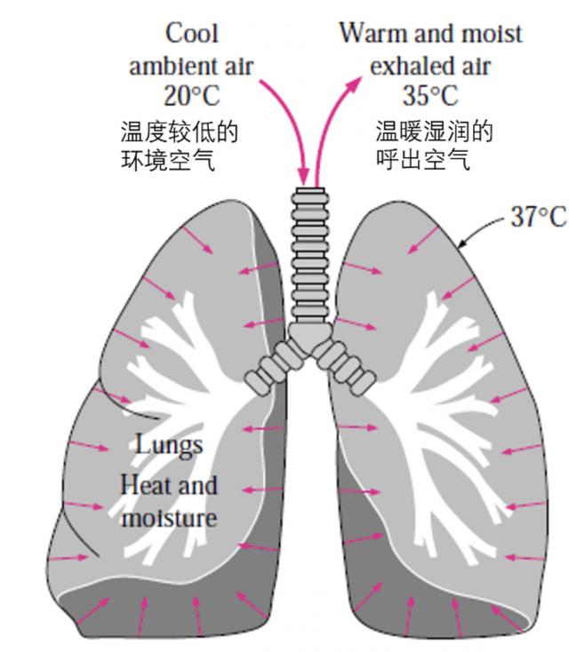 热辐射|“头盔热”的背后，是头盔“热”吗？