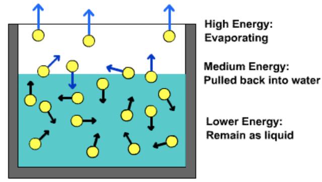 热辐射|“头盔热”的背后，是头盔“热”吗？