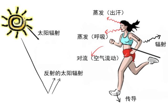 热辐射|“头盔热”的背后，是头盔“热”吗？