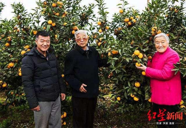 褚橙|褚橙新掌门：失去父亲这一年