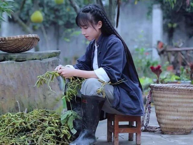 李子柒|“复制粘贴”？李子柒被越南网红抄袭了，连摘大白菜的动作都一样