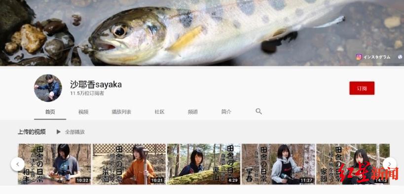 厨房|越南博主模仿李子柒？各国的“李子柒”很相似