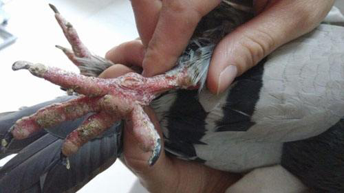 食品安全|注意！夏季高发！这几类食物最容易引起中毒……