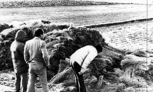 连环杀人案|韩国华城连环杀人案调查结果:李春宰杀害14人 强奸9人