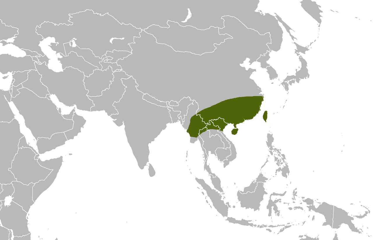 毒蛇|我国最毒的毒蛇是什么？