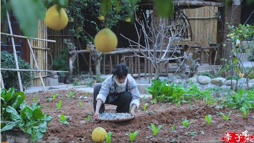 李子柒|复制粘贴？外国博主抄袭李子柒，连奶奶和狗都如出一辙