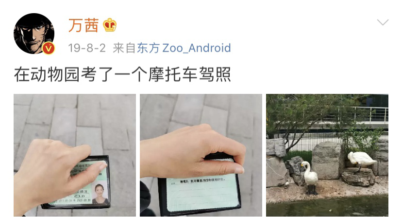 万茜|想靠《乘风破浪的姐姐》翻红的女明星，不学学她真是可惜了