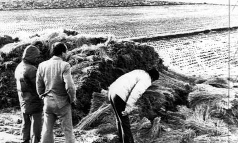 杀人回忆|现实比电影更可怕！《杀人回忆》凶手原型杀害14人强奸9人