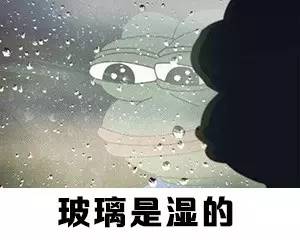 视觉志|最近朋友圈的南方人，太难了！｜百家故事