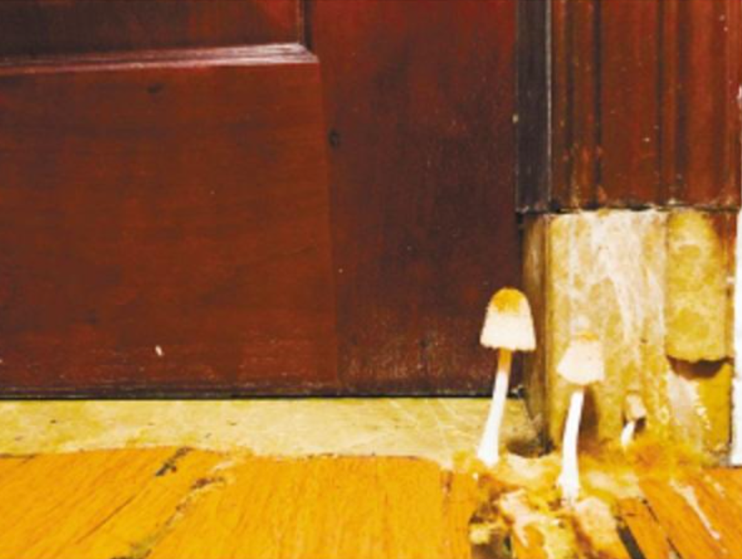 视觉志|最近朋友圈的南方人，太难了！｜百家故事