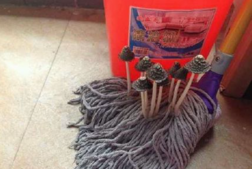 视觉志|最近朋友圈的南方人，太难了！｜百家故事