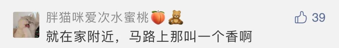 茅台酒|1000多箱茅台翻车,司机崩溃:赔不起啊