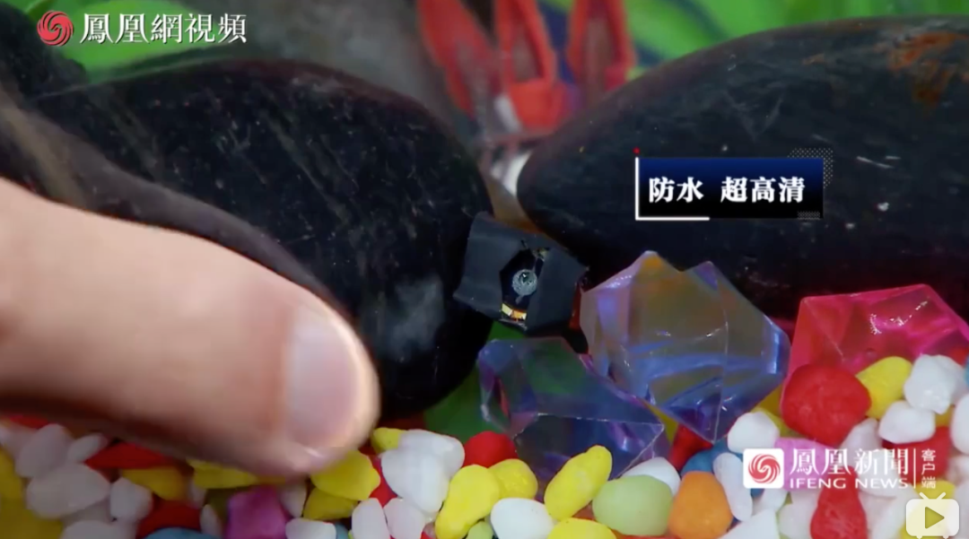 视觉志|那些不敢住酒店的女生(细思极恐)|百家故事