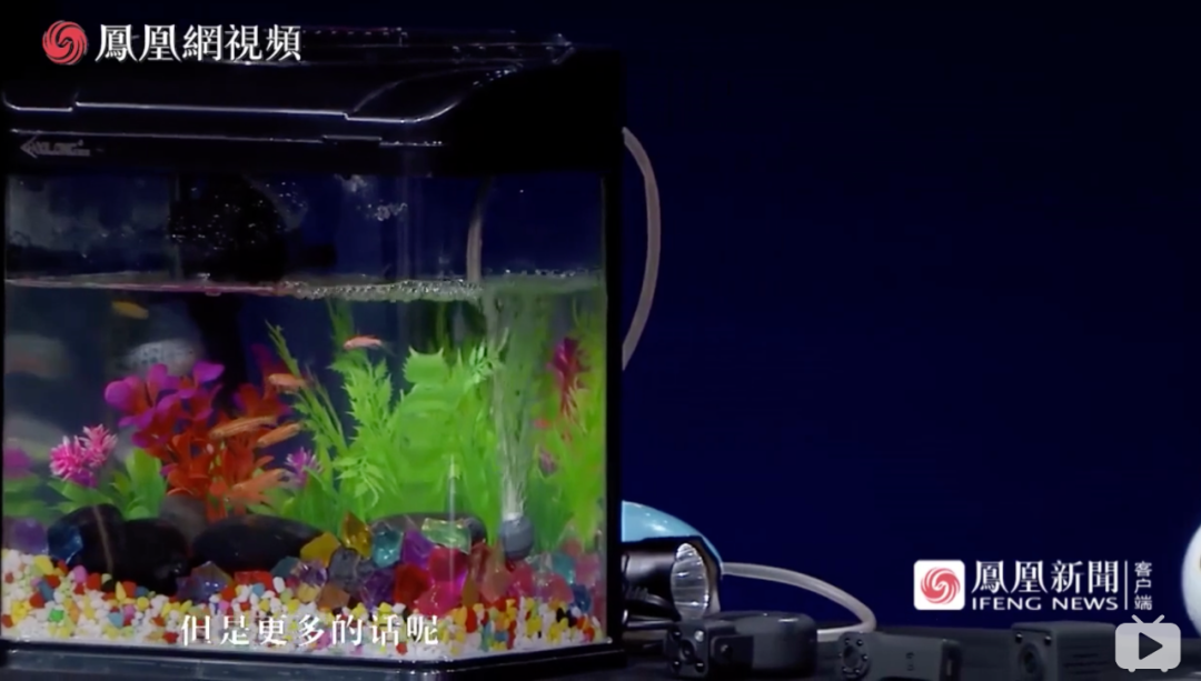 视觉志|那些不敢住酒店的女生(细思极恐)|百家故事